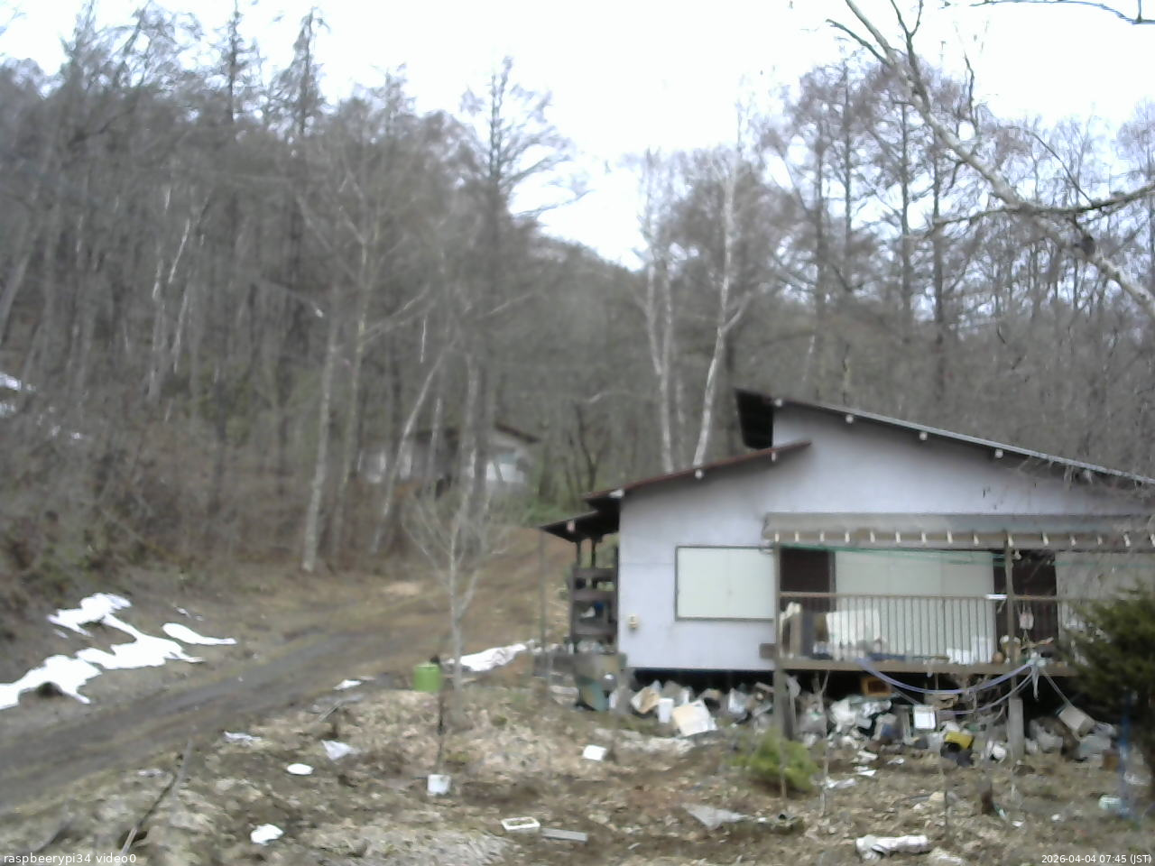 長野県菅平高原 ゆたか山荘 西側(坂上) 2026/04/04 07:45