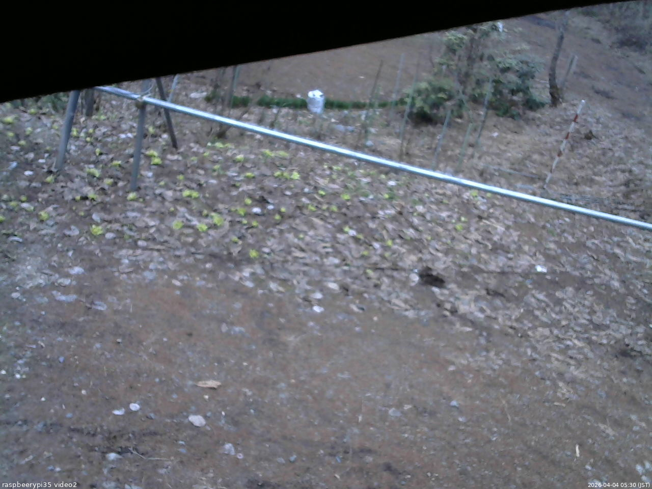 長野県菅平高原 ゆたか山荘 駐車場 2026/04/04 05:30