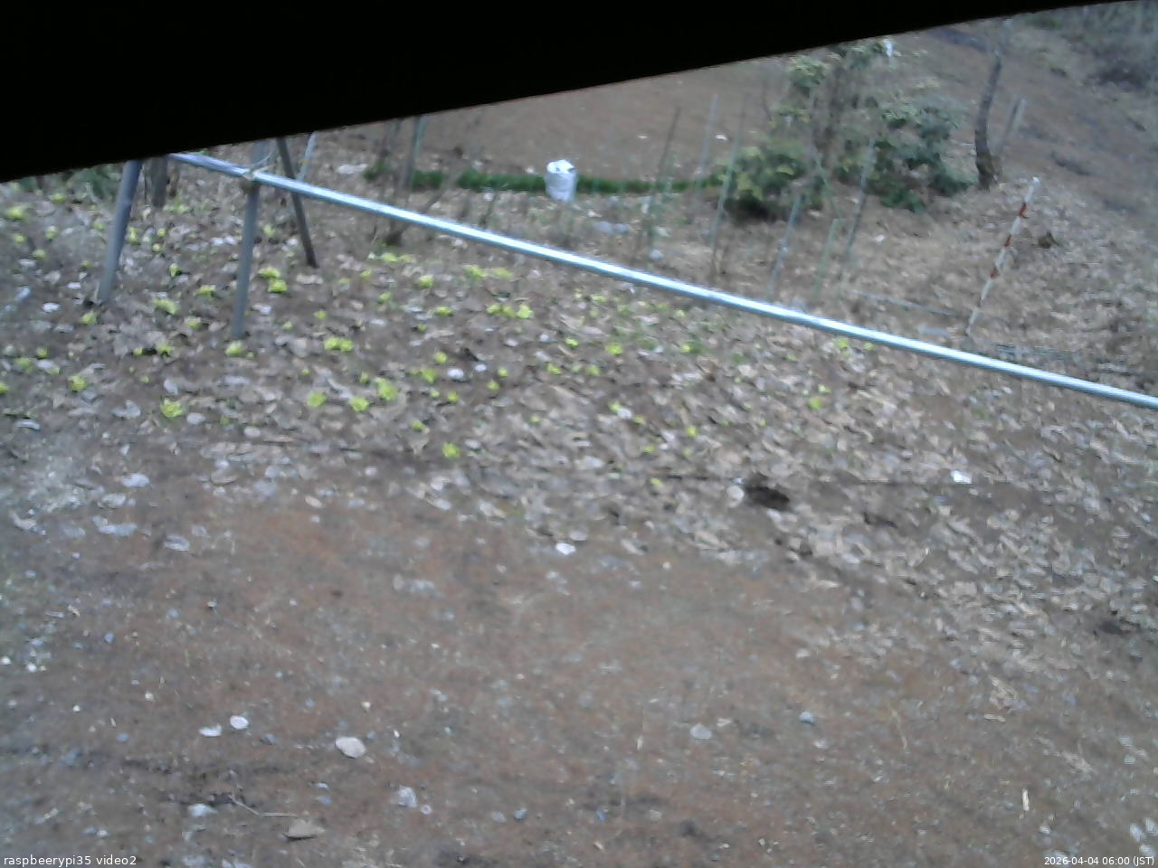 長野県菅平高原 ゆたか山荘 駐車場 2026/04/04 06:00