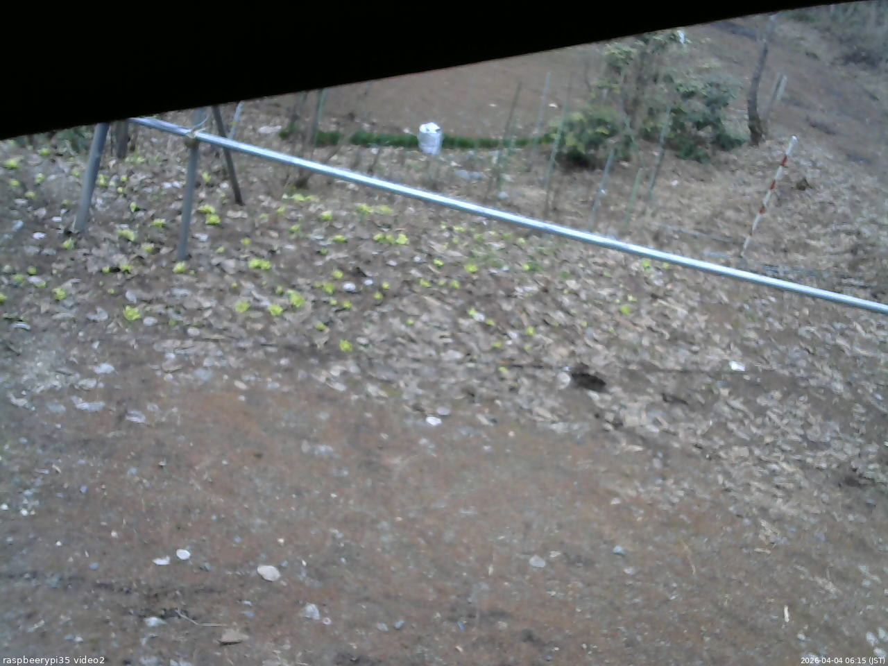 長野県菅平高原 ゆたか山荘 駐車場 2026/04/04 06:15