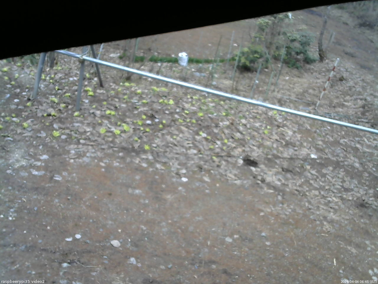 長野県菅平高原 ゆたか山荘 駐車場 2026/04/04 06:45