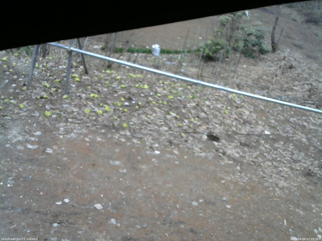 長野県菅平高原 ゆたか山荘 駐車場 2026/04/04 07:15