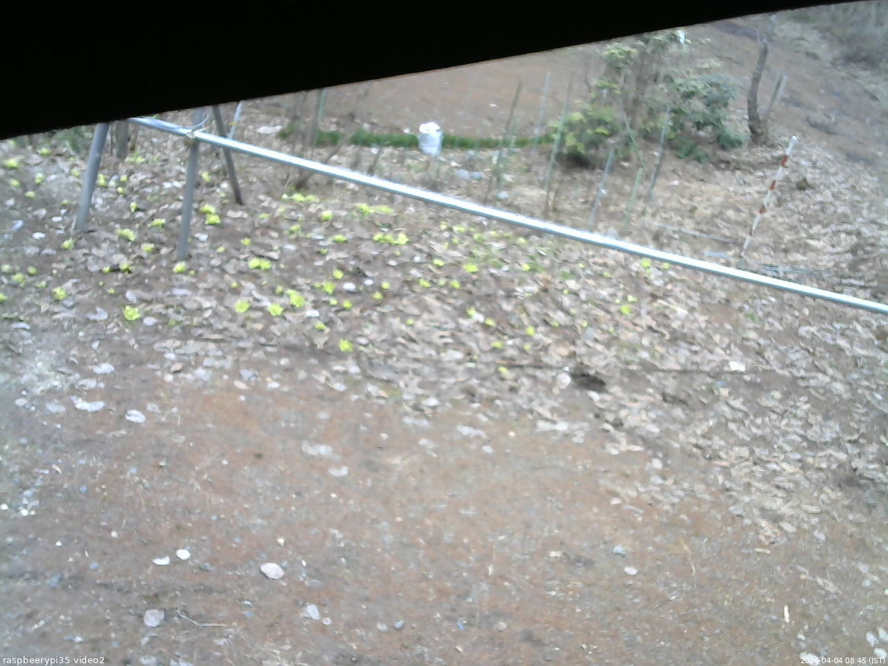 長野県菅平高原 ゆたか山荘 駐車場 2026/04/04 08:45