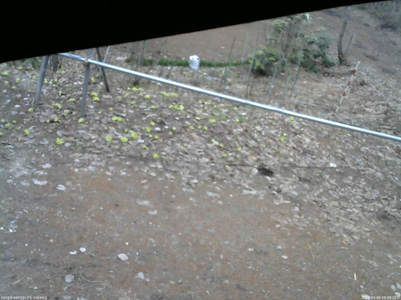 長野県菅平高原 ゆたか山荘 駐車場 2026/04/04 09:00