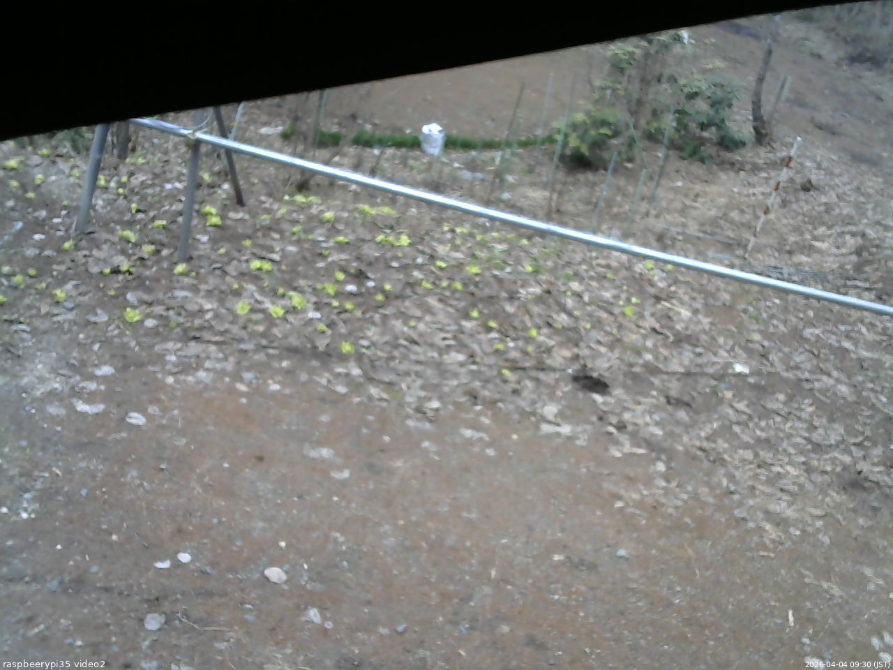 長野県菅平高原 ゆたか山荘 駐車場 2026/04/04 09:30