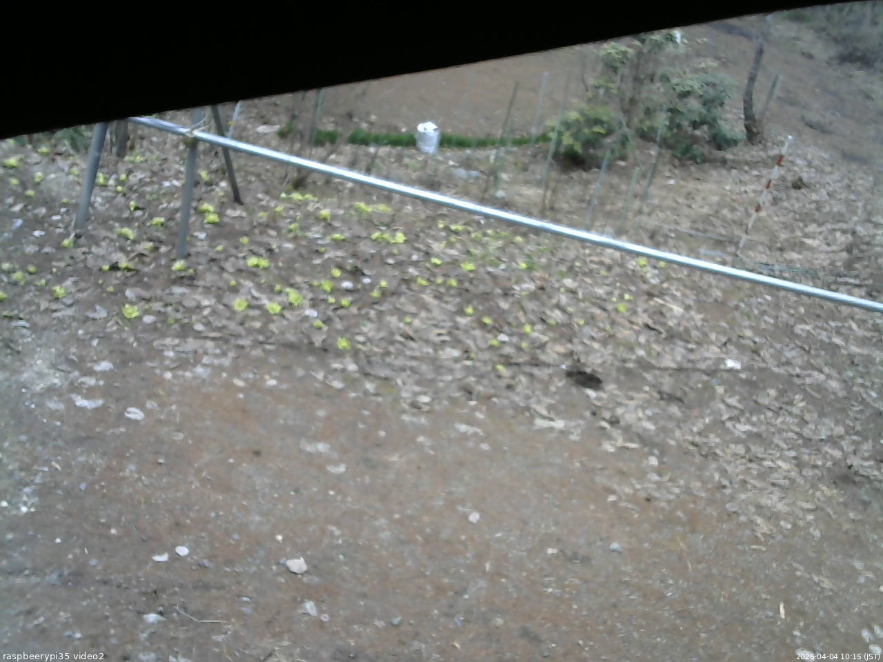 長野県菅平高原 ゆたか山荘 駐車場 2026/04/04 10:15
