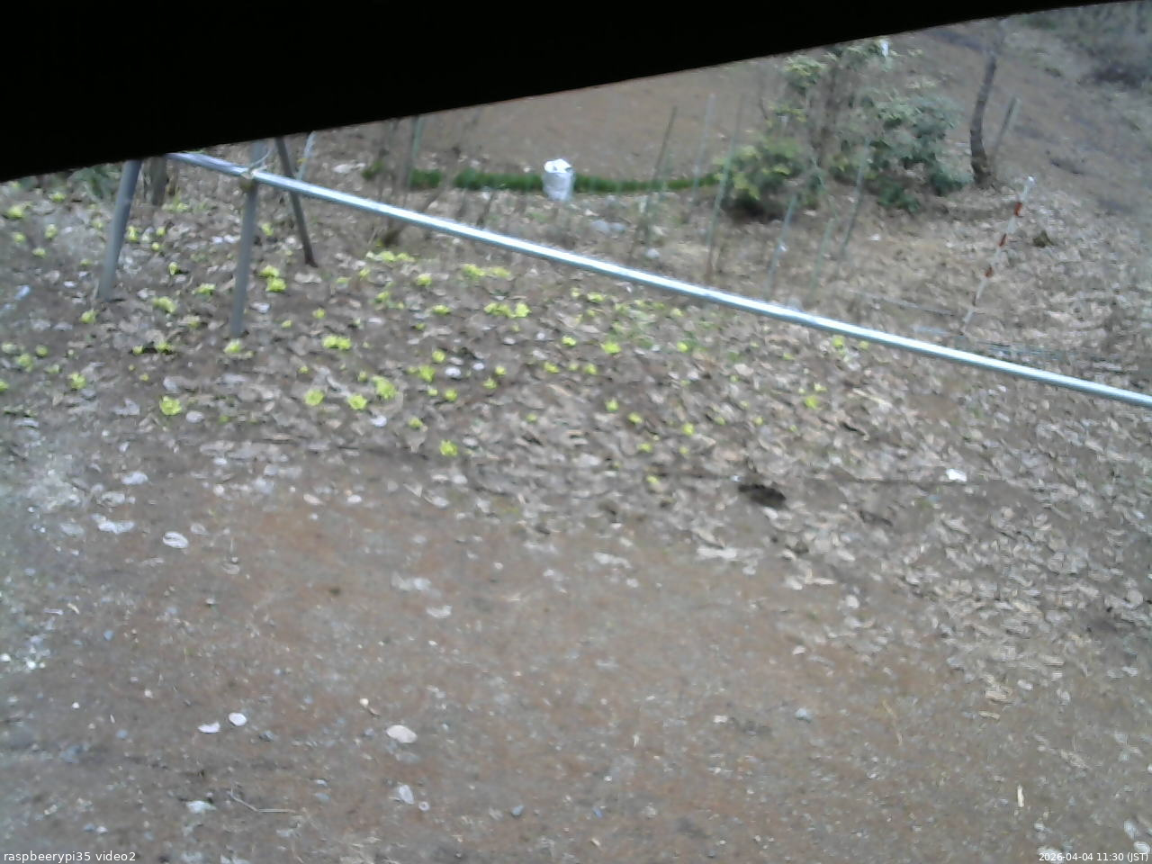 長野県菅平高原 ゆたか山荘 駐車場 2026/04/04 11:30