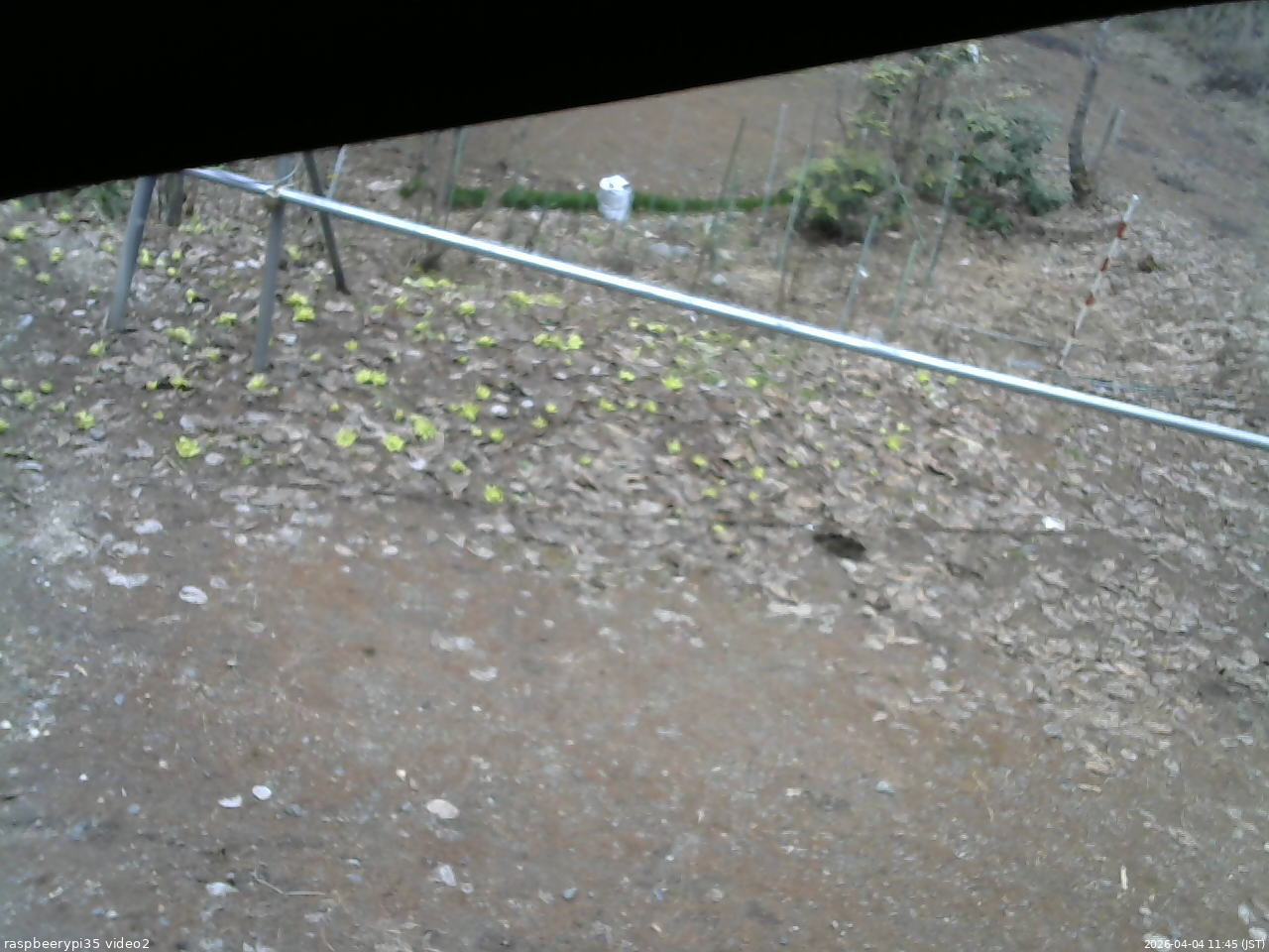 長野県菅平高原 ゆたか山荘 駐車場 2026/04/04 11:45