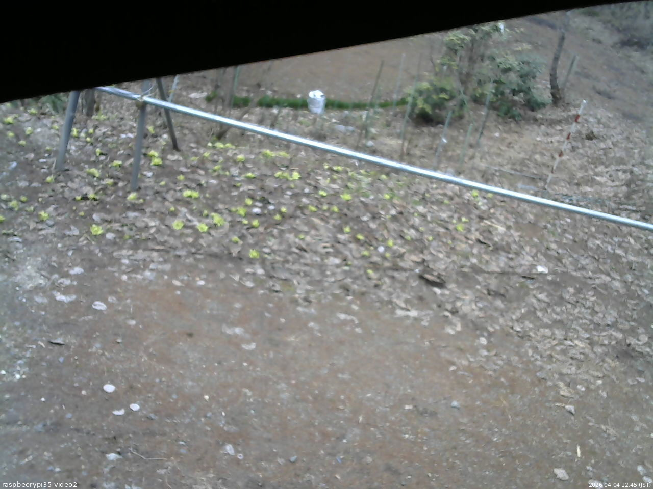 長野県菅平高原 ゆたか山荘 駐車場 2026/04/04 12:45