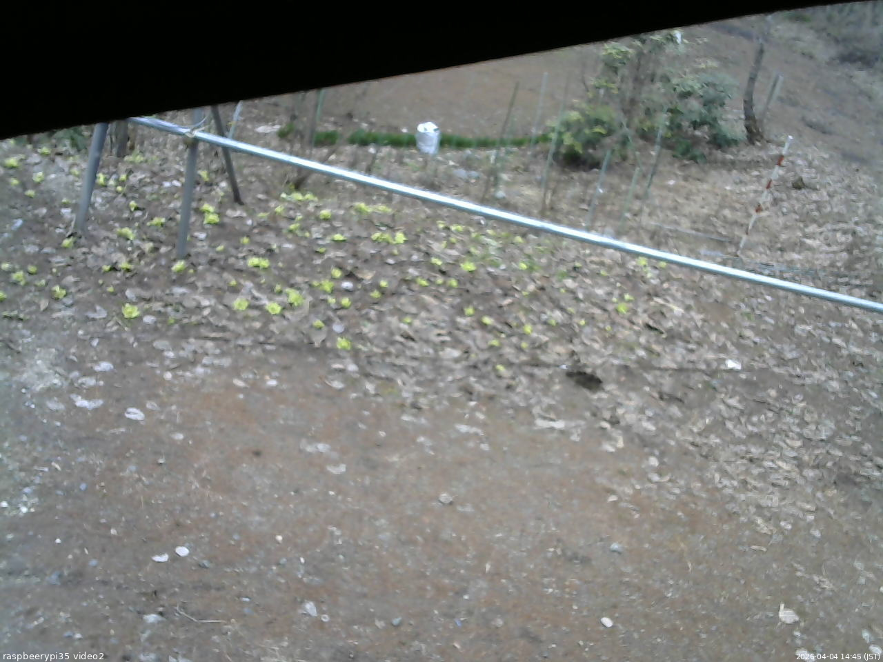 長野県菅平高原 ゆたか山荘 駐車場 2026/04/04 14:45