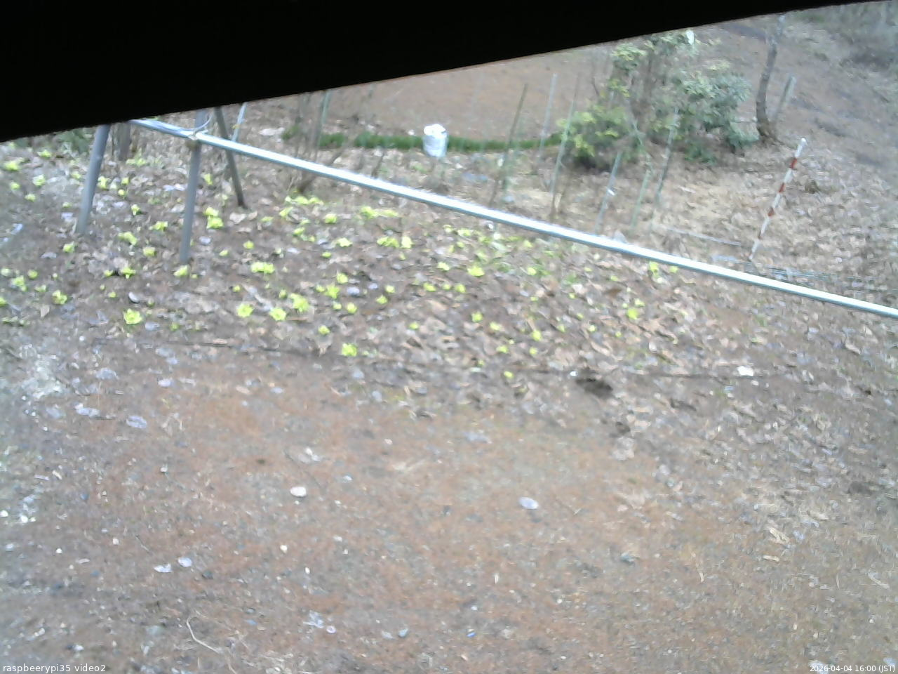 長野県菅平高原 ゆたか山荘 駐車場 2026/04/04 16:00