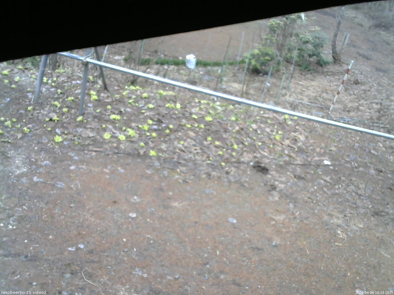長野県菅平高原 ゆたか山荘 駐車場 2026/04/04 16:15