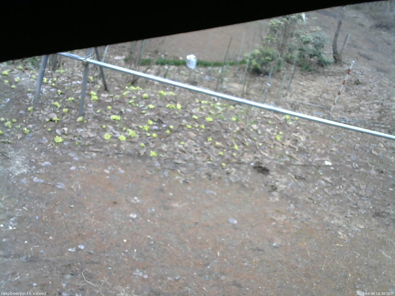 長野県菅平高原 ゆたか山荘 駐車場 2026/04/04 16:30