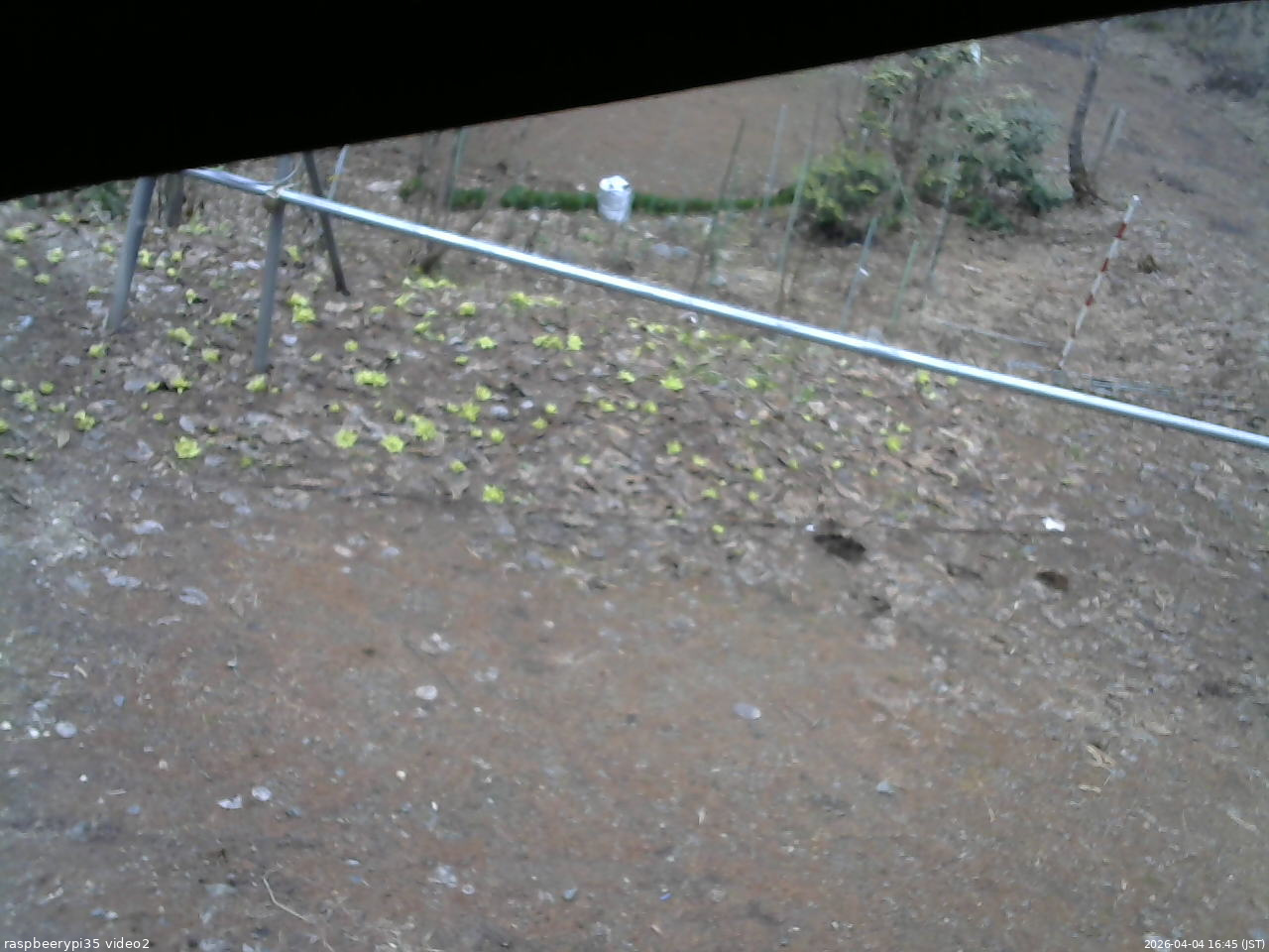 長野県菅平高原 ゆたか山荘 駐車場 2026/04/04 16:45