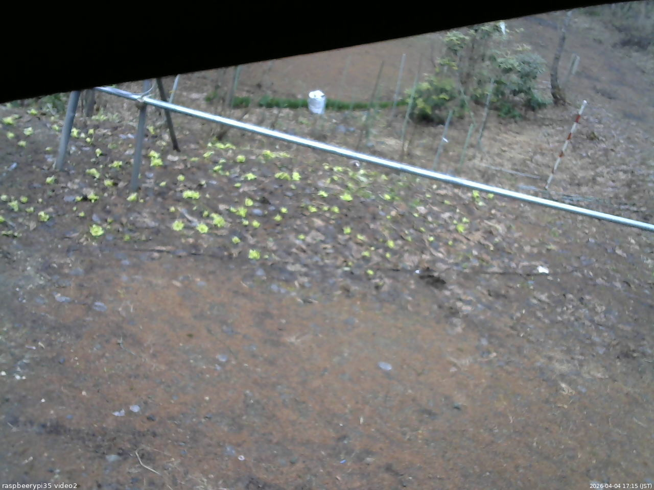 長野県菅平高原 ゆたか山荘 駐車場 2026/04/04 17:15