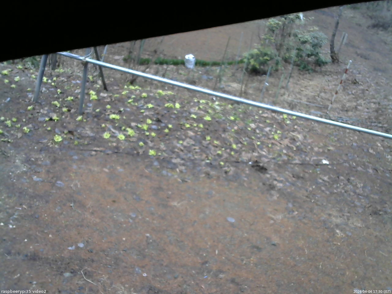 長野県菅平高原 ゆたか山荘 駐車場 2026/04/04 17:30