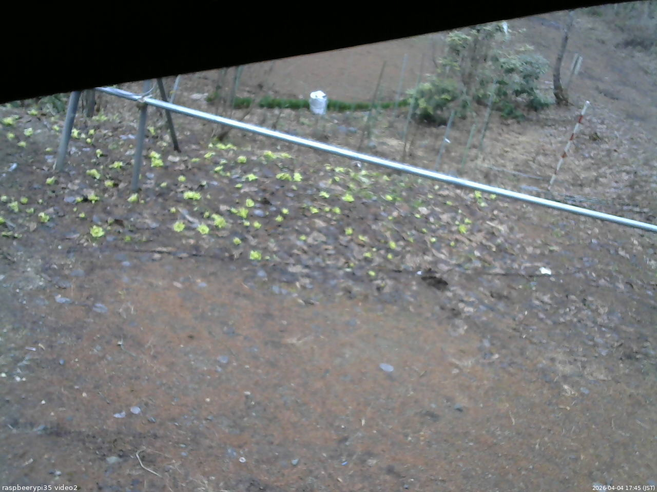長野県菅平高原 ゆたか山荘 駐車場 2026/04/04 17:45