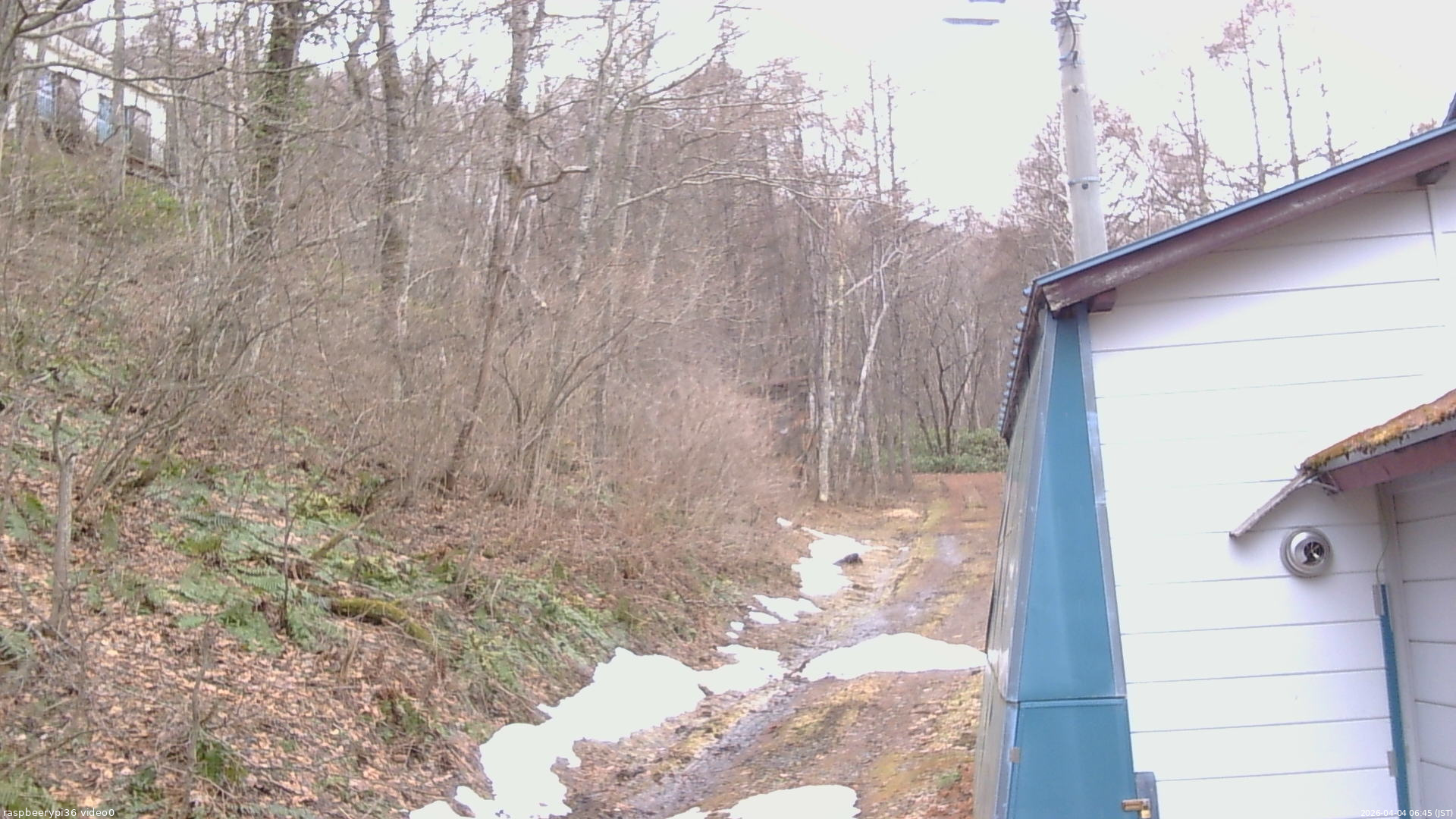 長野県菅平高原 ゆたか山荘 ゆたか山荘 2026/04/04 06:45