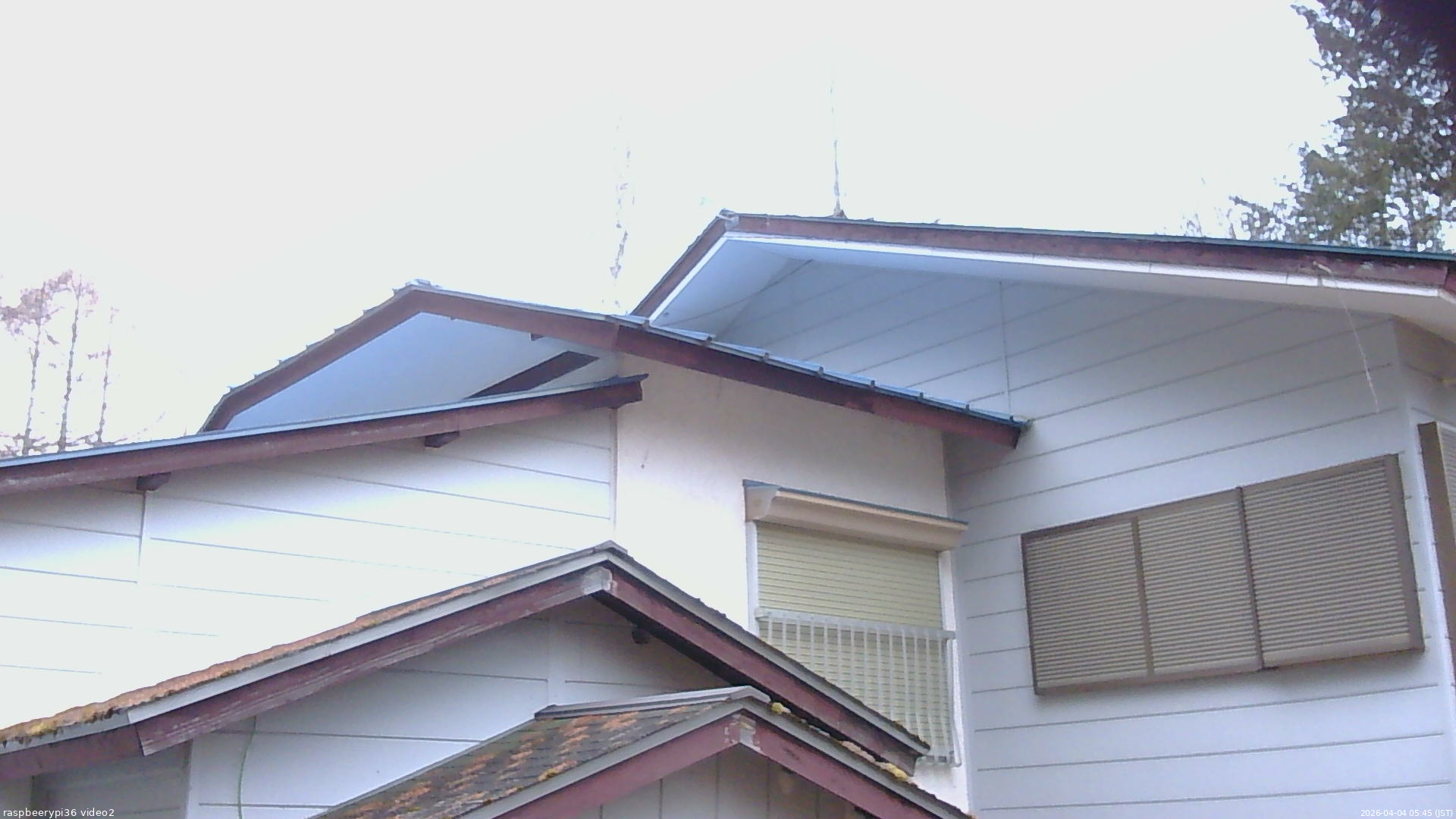 長野県菅平高原 ゆたか山荘 駐車場奥 2026/04/04 05:45