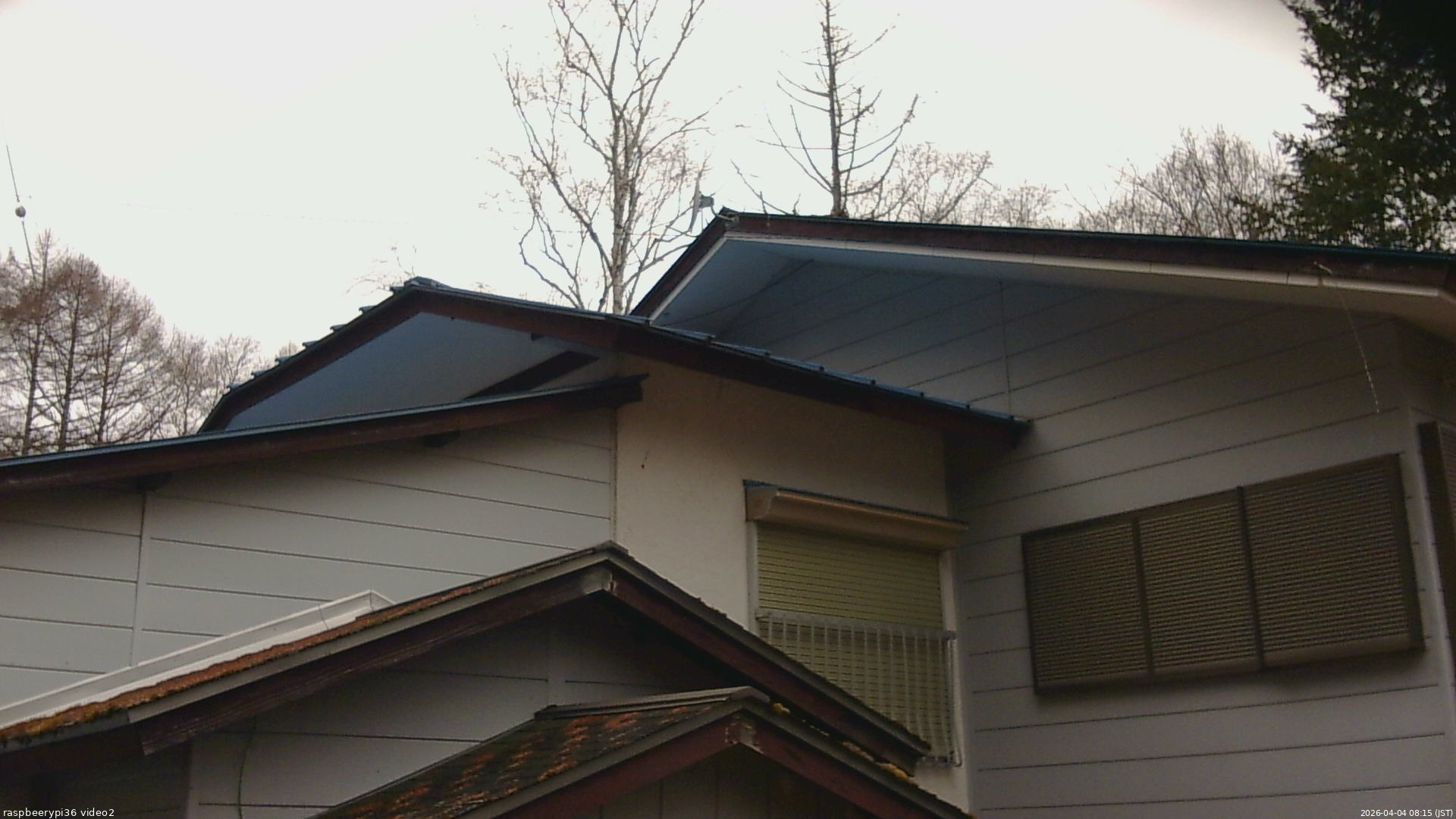 長野県菅平高原 ゆたか山荘 駐車場奥 2026/04/04 08:15