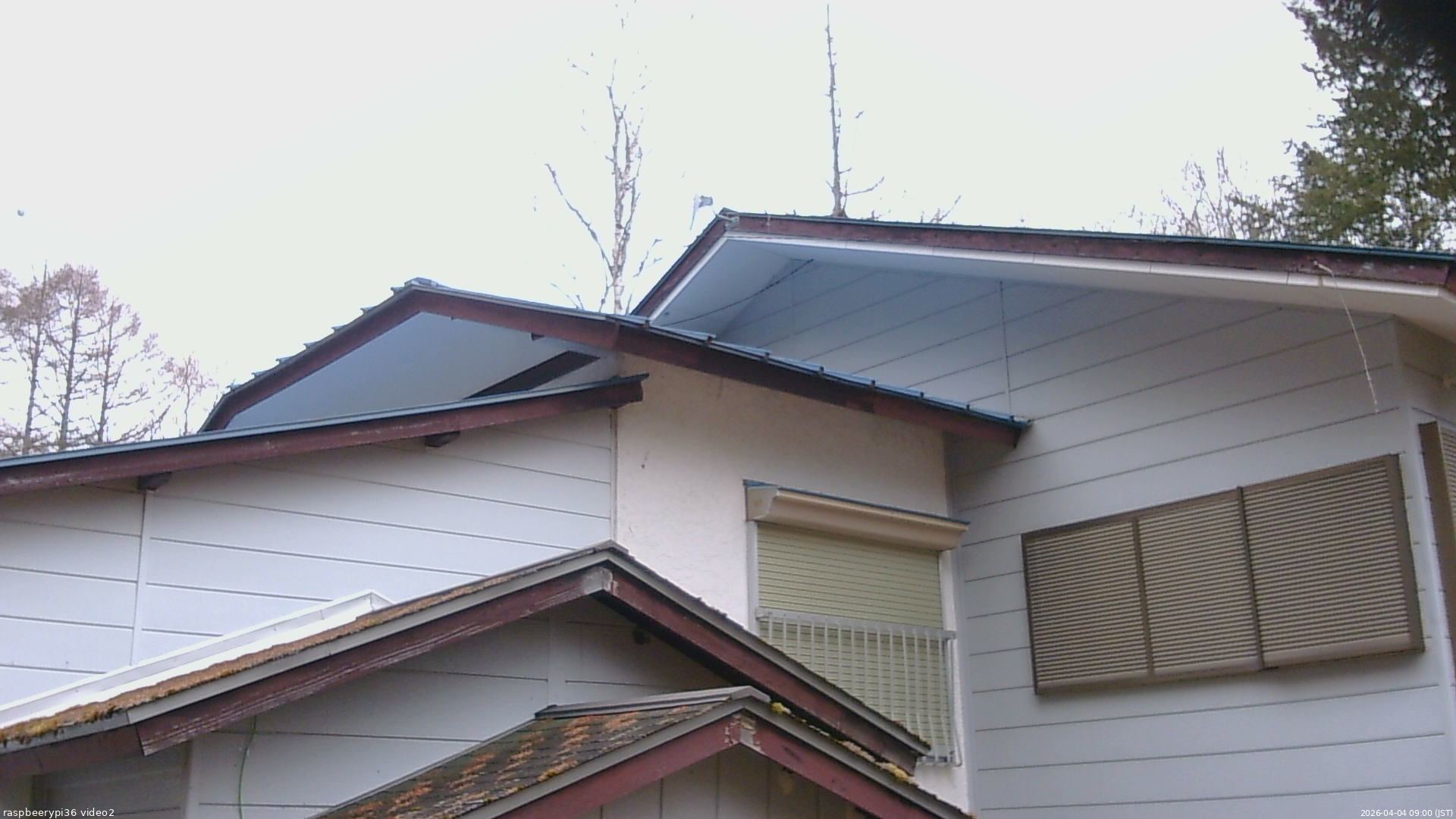 長野県菅平高原 ゆたか山荘 駐車場奥 2026/04/04 09:00