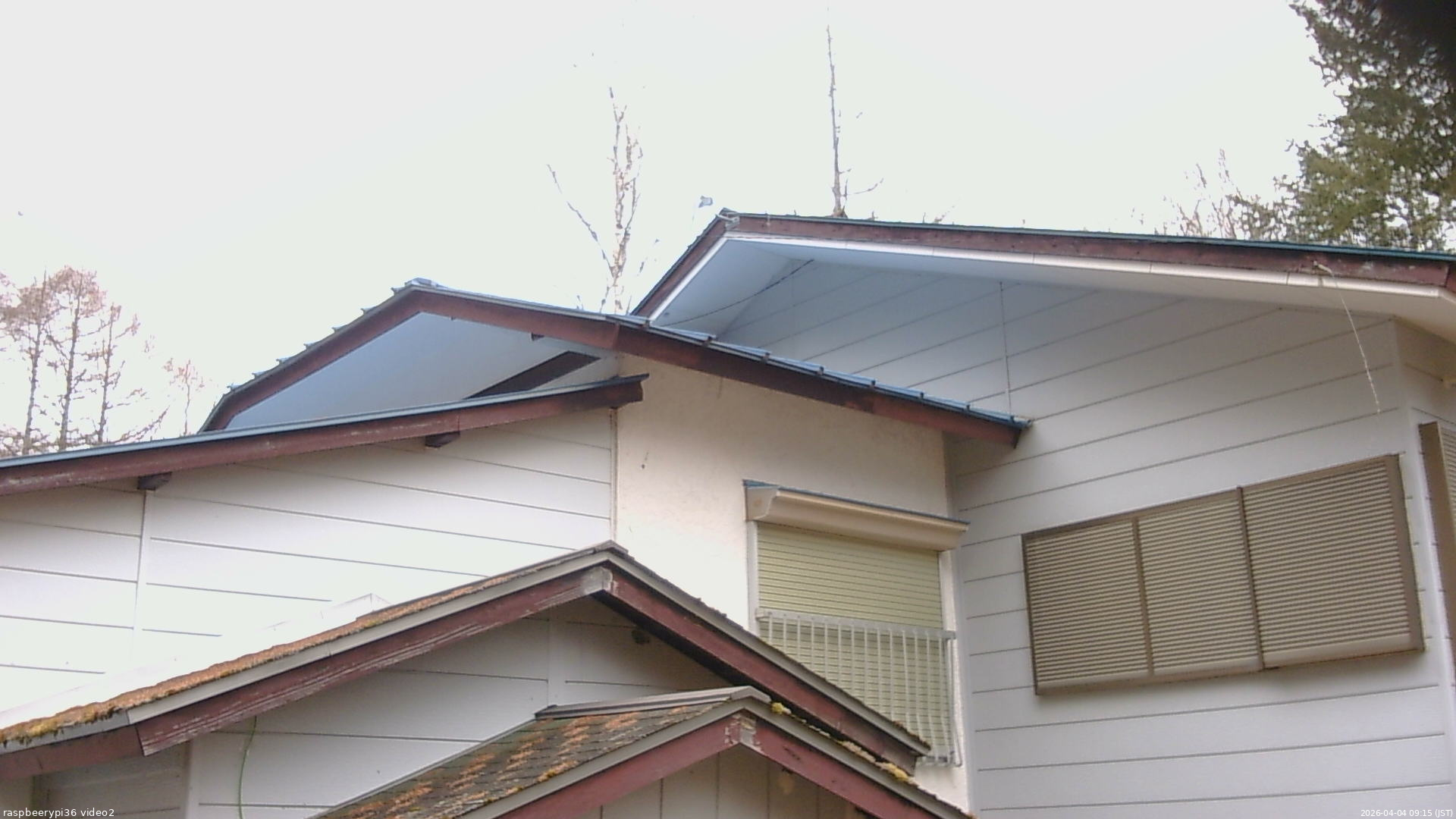 長野県菅平高原 ゆたか山荘 駐車場奥 2026/04/04 09:15