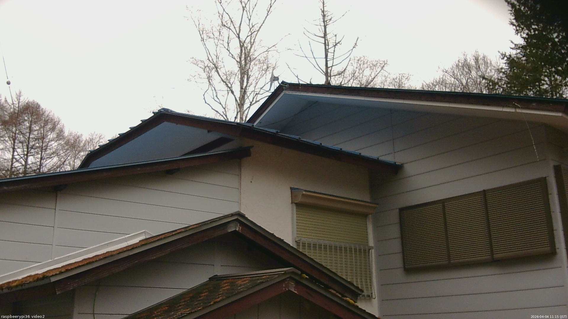 長野県菅平高原 ゆたか山荘 駐車場奥 2026/04/04 11:15