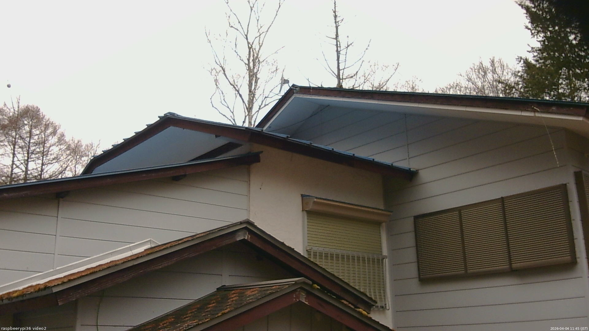 長野県菅平高原 ゆたか山荘 駐車場奥 2026/04/04 11:45