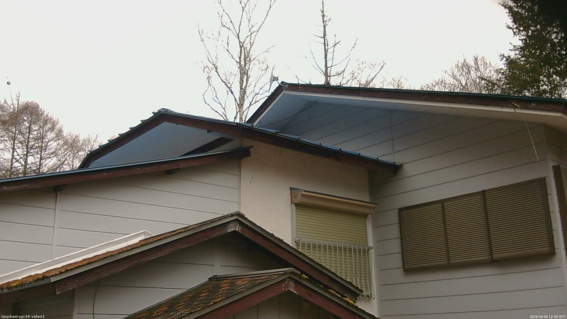 長野県菅平高原 ゆたか山荘 駐車場奥 2026/04/04 12:30