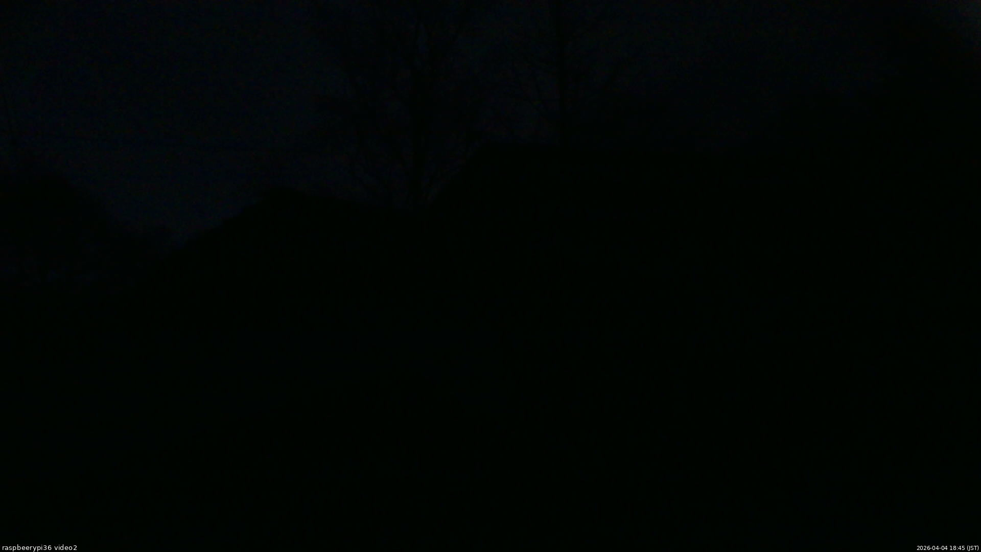 長野県菅平高原 ゆたか山荘 駐車場奥 2026/04/04 18:45