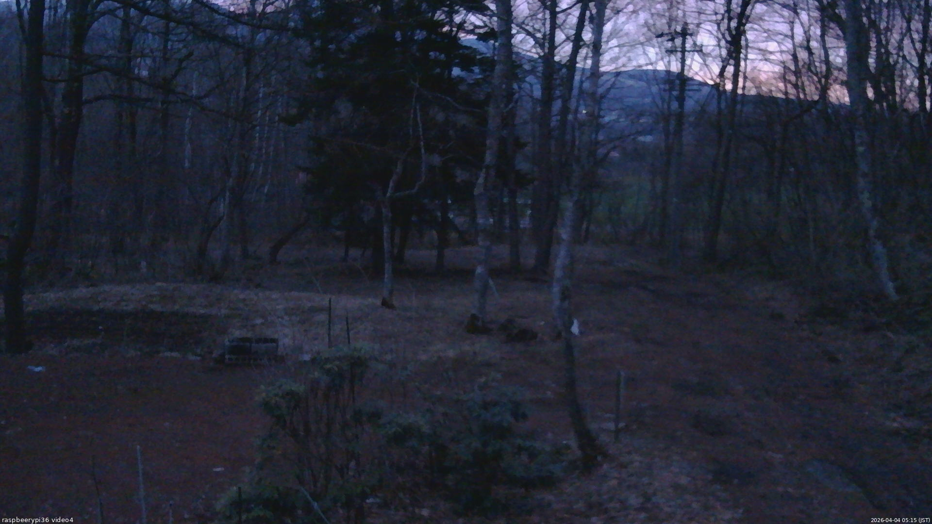 長野県菅平高原 ゆたか山荘 坂上 2026/04/04 05:15