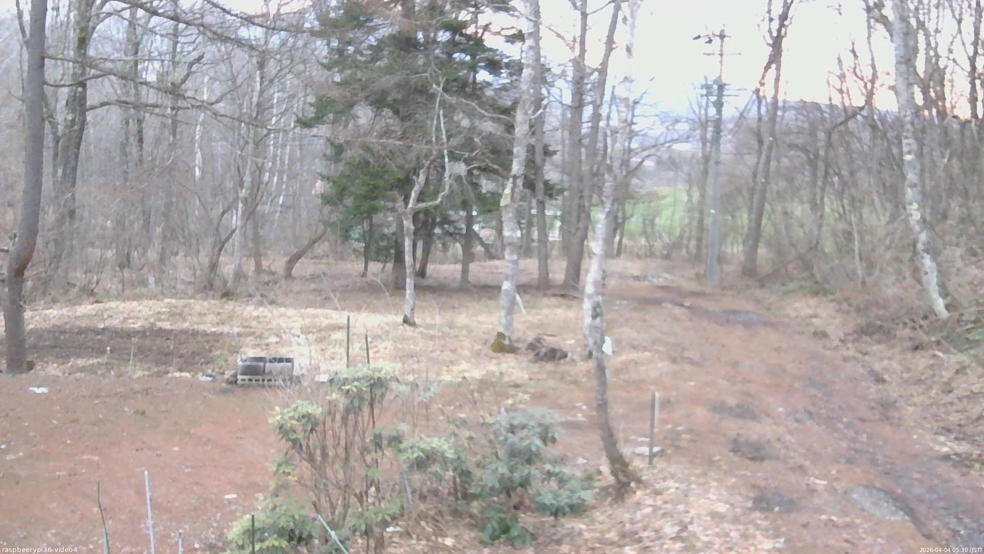 長野県菅平高原 ゆたか山荘 坂上 2026/04/04 05:30