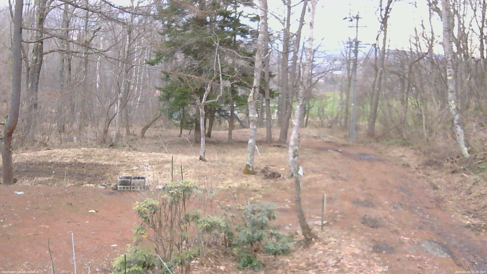 長野県菅平高原 ゆたか山荘 坂上 2026/04/04 05:45