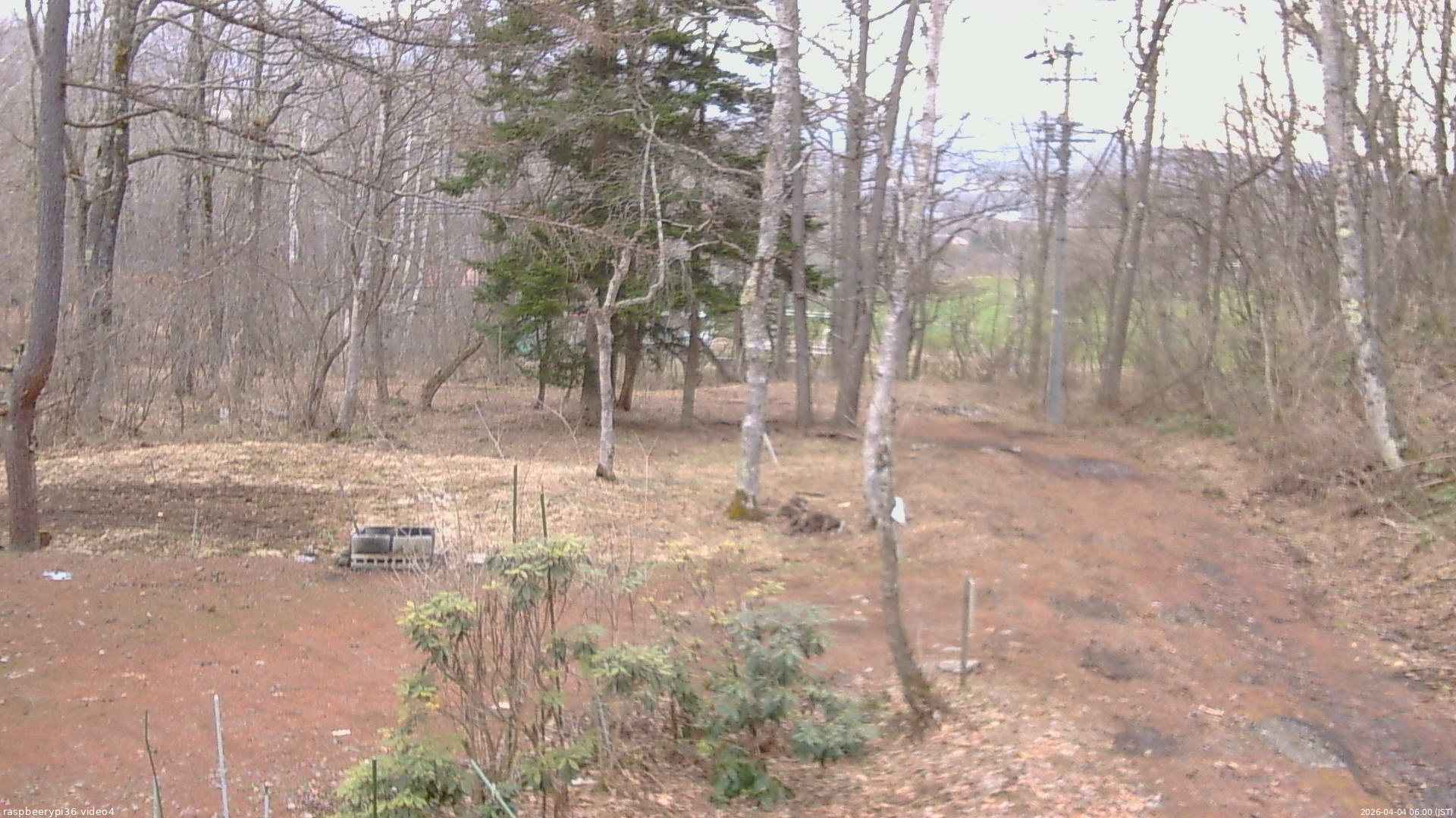 長野県菅平高原 ゆたか山荘 坂上 2026/04/04 06:00