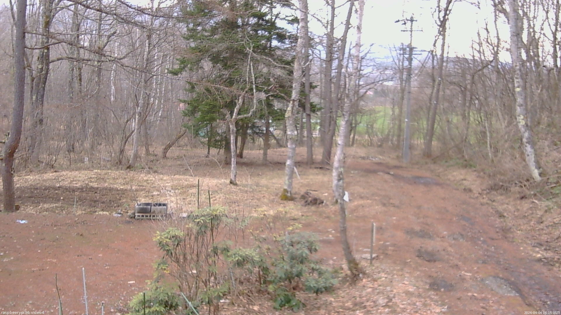 長野県菅平高原 ゆたか山荘 坂上 2026/04/04 06:15