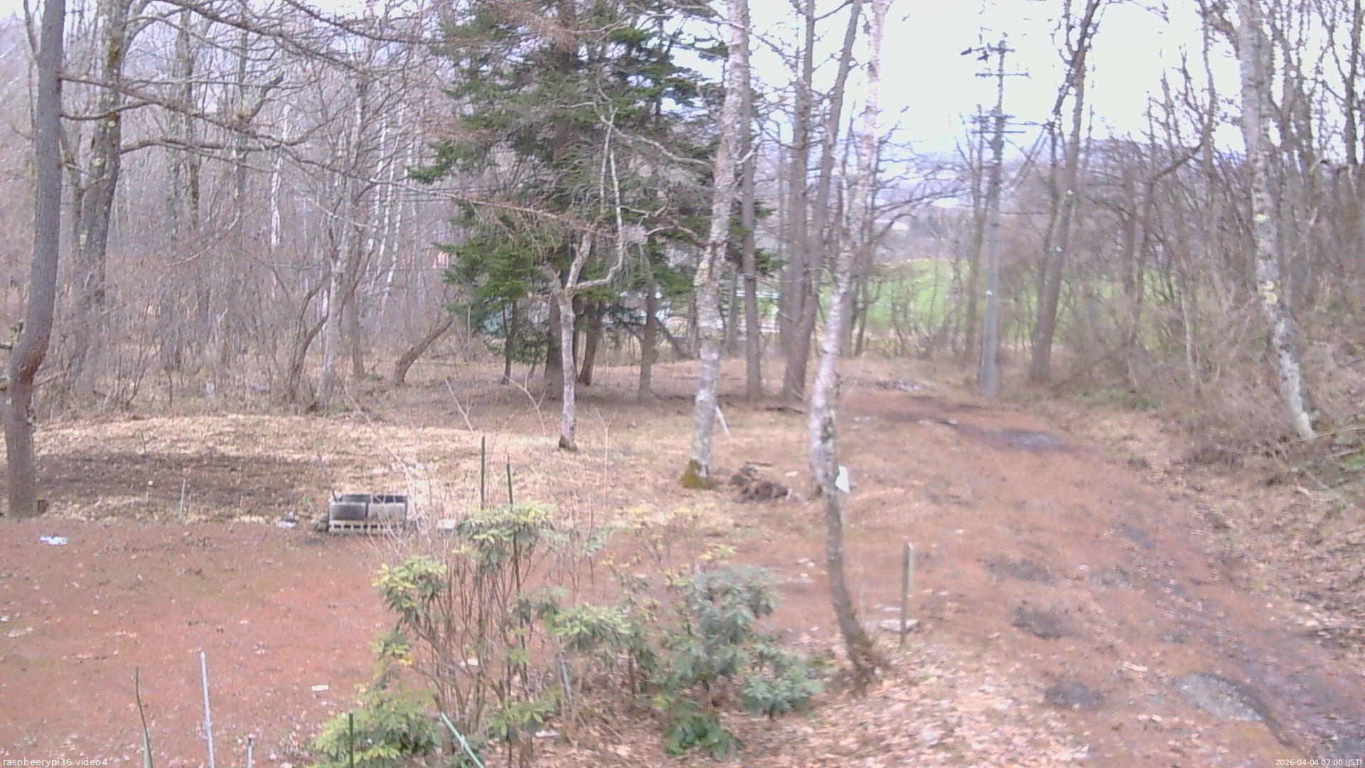 長野県菅平高原 ゆたか山荘 坂上 2026/04/04 07:00