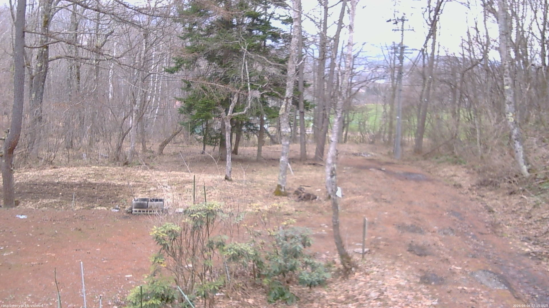 長野県菅平高原 ゆたか山荘 坂上 2026/04/04 07:15