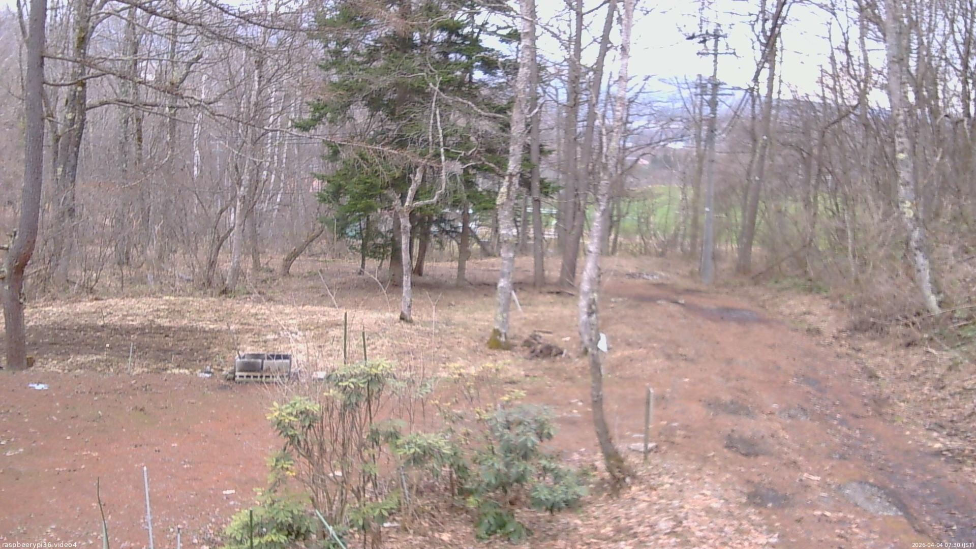長野県菅平高原 ゆたか山荘 坂上 2026/04/04 07:30