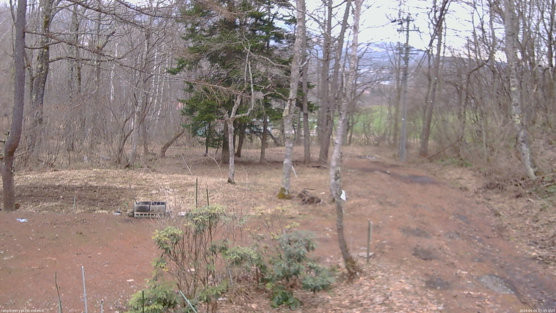 長野県菅平高原 ゆたか山荘 坂上 2026/04/04 07:45