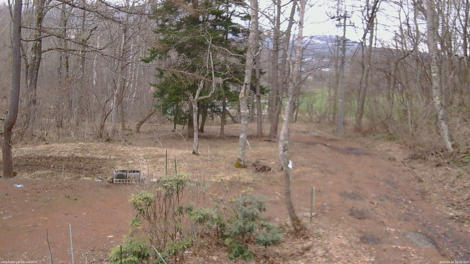 長野県菅平高原 ゆたか山荘 坂上 2026/04/04 09:00