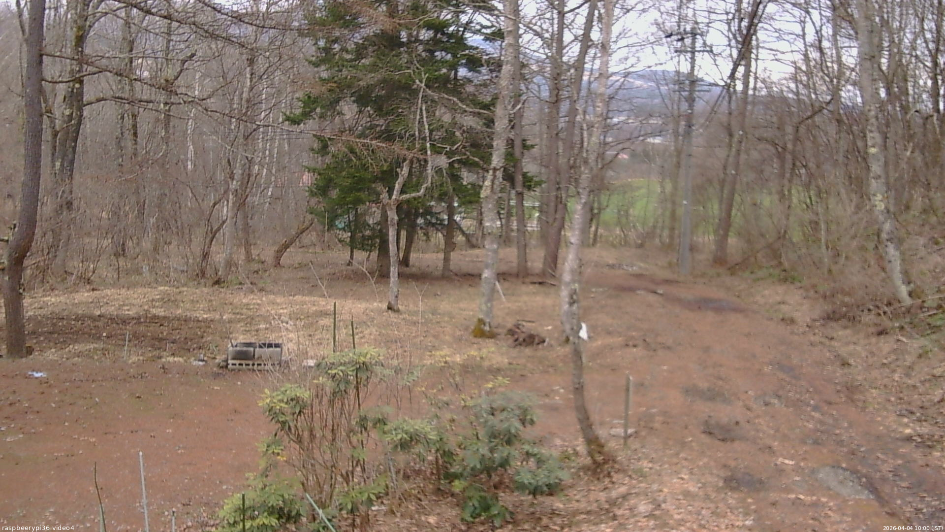 長野県菅平高原 ゆたか山荘 坂上 2026/04/04 10:00