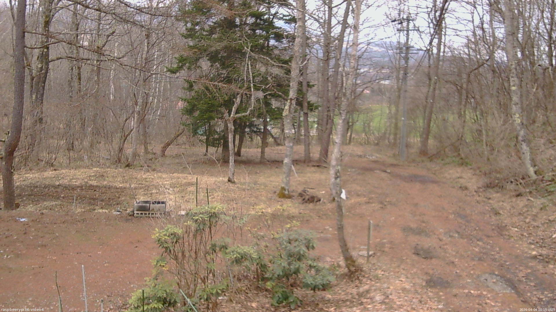 長野県菅平高原 ゆたか山荘 坂上 2026/04/04 10:15