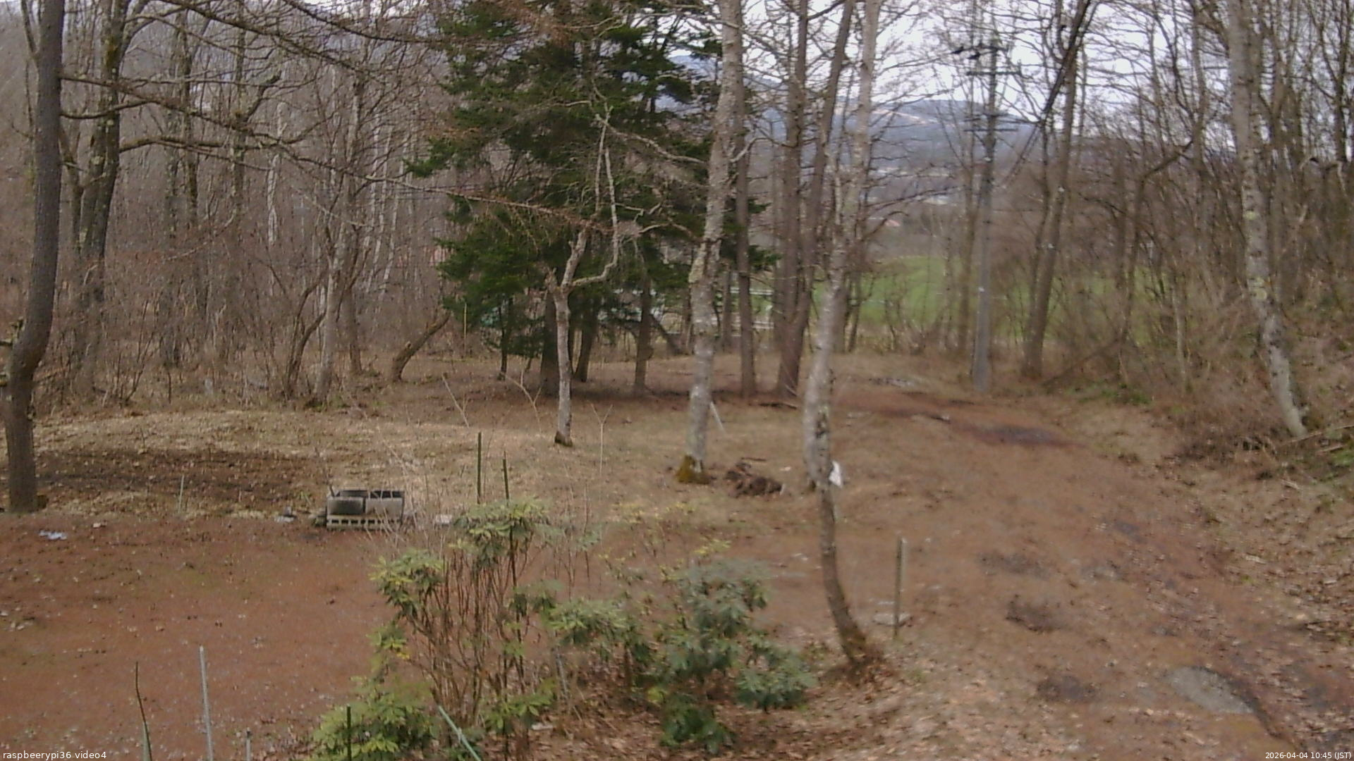 長野県菅平高原 ゆたか山荘 坂上 2026/04/04 10:45