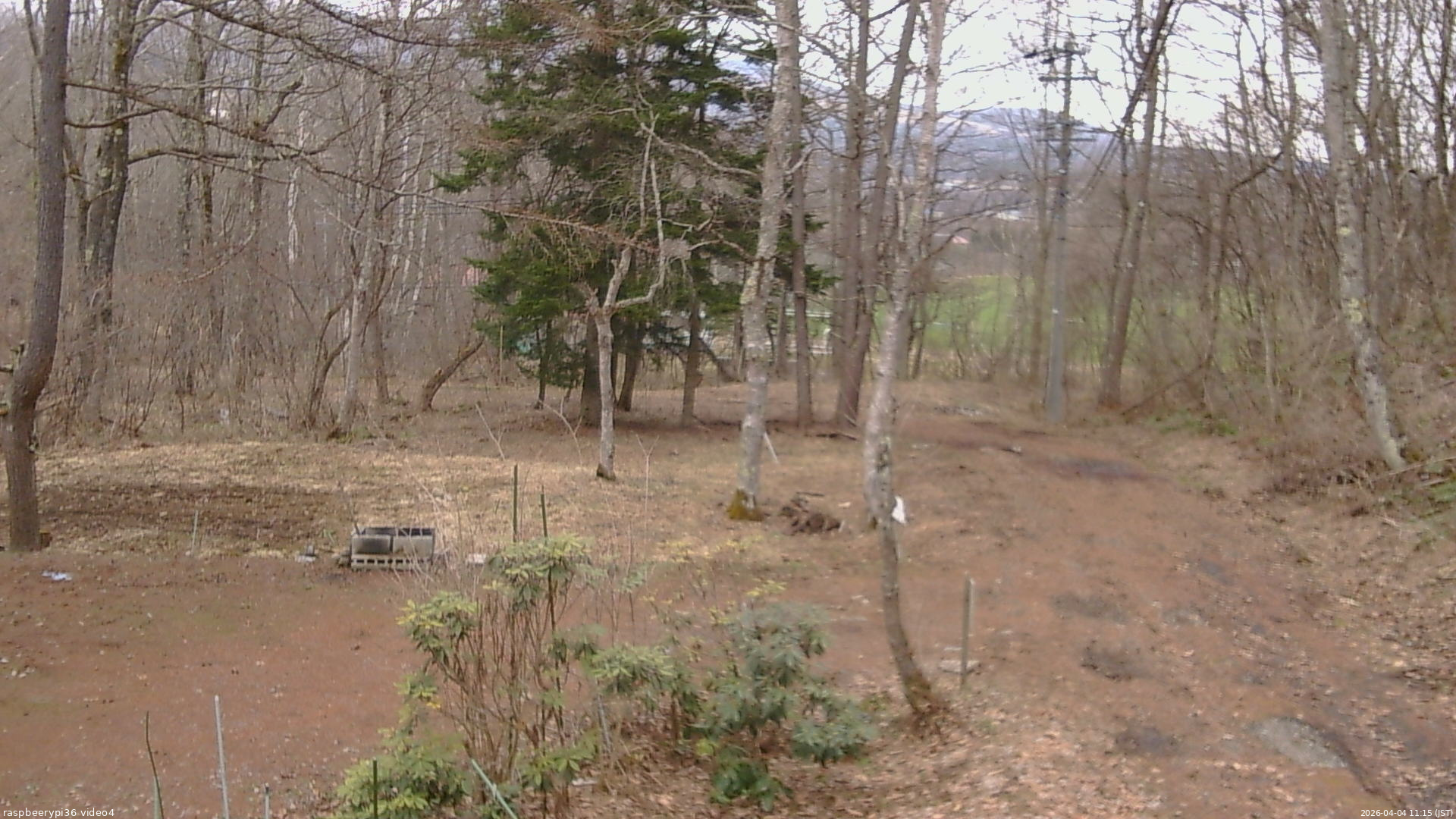 長野県菅平高原 ゆたか山荘 坂上 2026/04/04 11:15