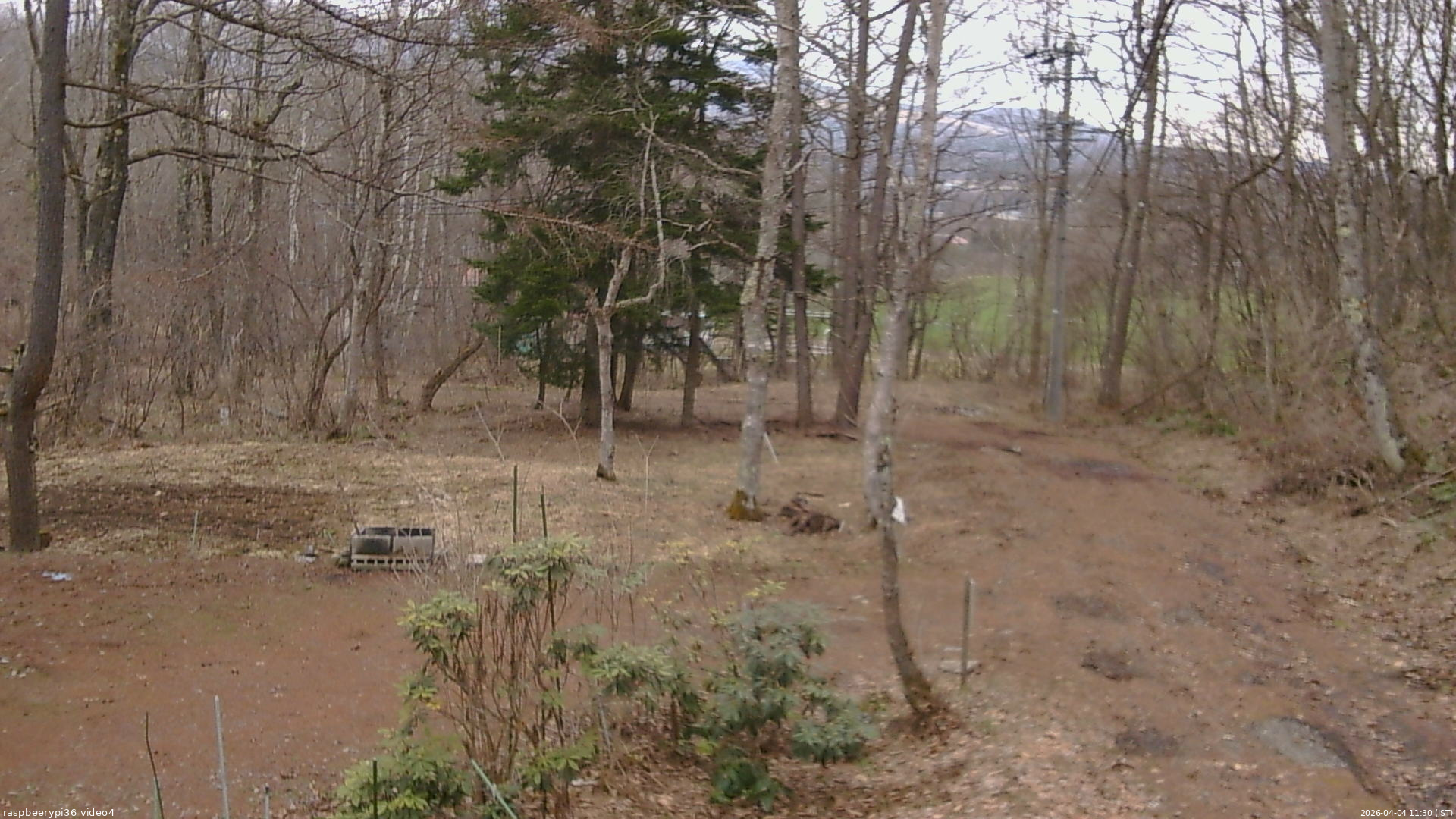 長野県菅平高原 ゆたか山荘 坂上 2026/04/04 11:30