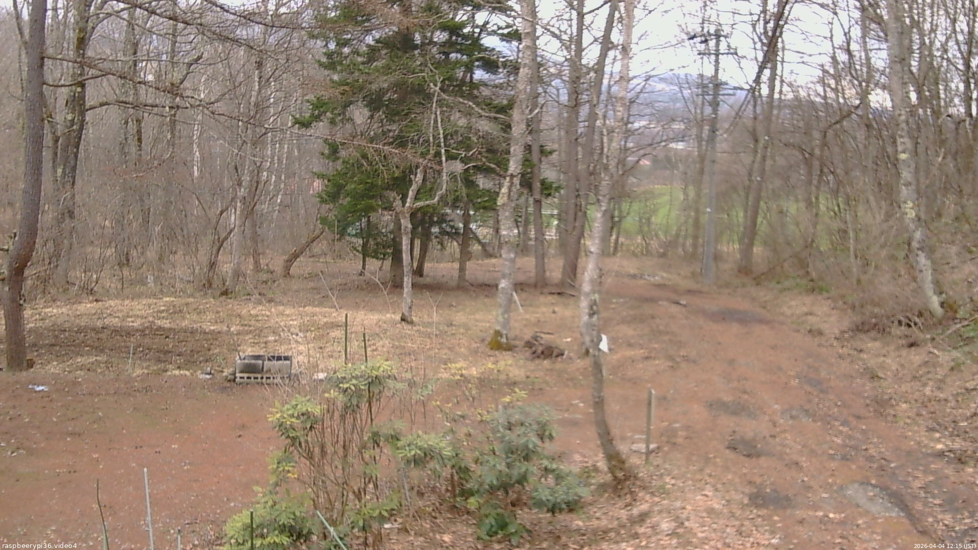 長野県菅平高原 ゆたか山荘 坂上 2026/04/04 12:15