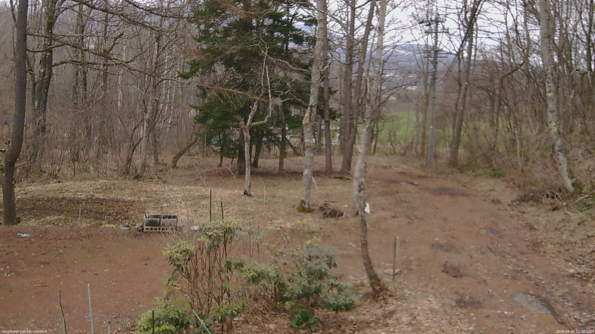 長野県菅平高原 ゆたか山荘 坂上 2026/04/04 12:30