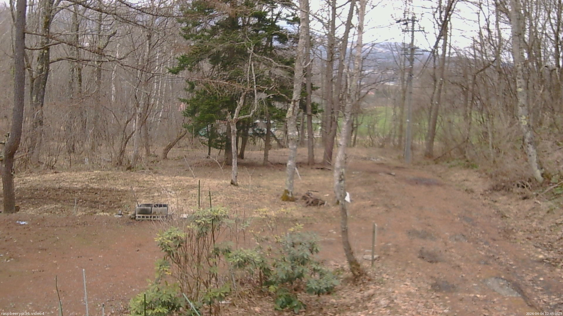 長野県菅平高原 ゆたか山荘 坂上 2026/04/04 12:45