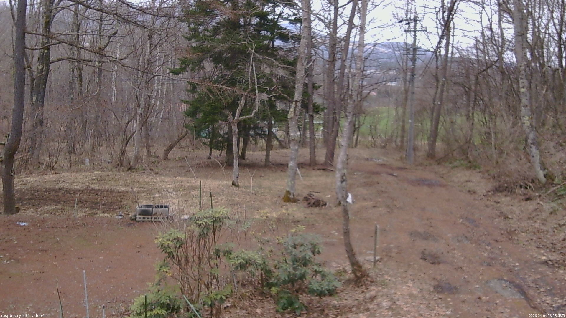 長野県菅平高原 ゆたか山荘 坂上 2026/04/04 13:15