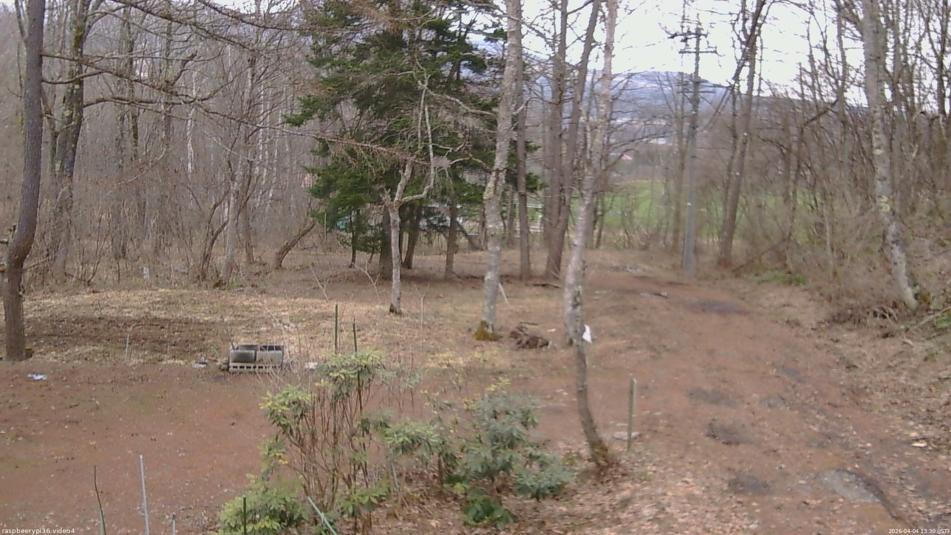 長野県菅平高原 ゆたか山荘 坂上 2026/04/04 13:30